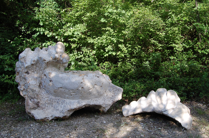 003_Z8WC4_PALOMBARA_SABINA