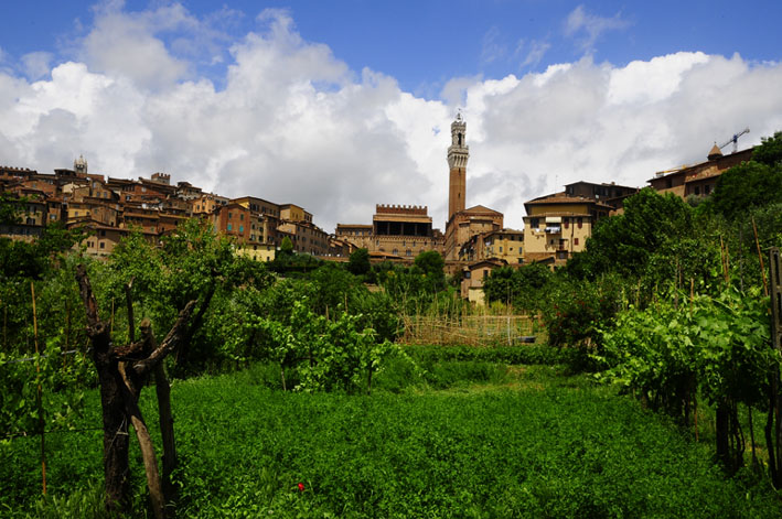 017_6SQ75 _CITTA_DEL_VINO