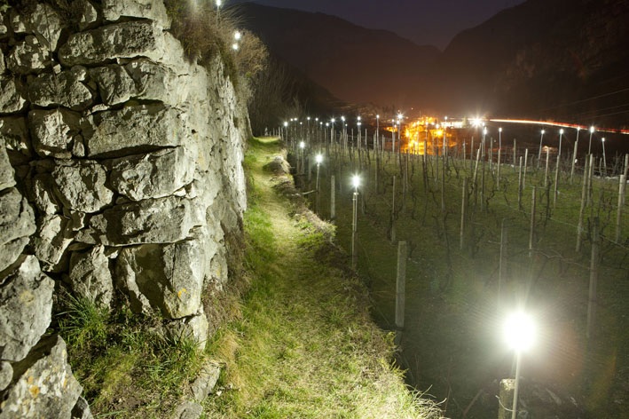 052_81HH7_UNIVERSITA_PADOVA