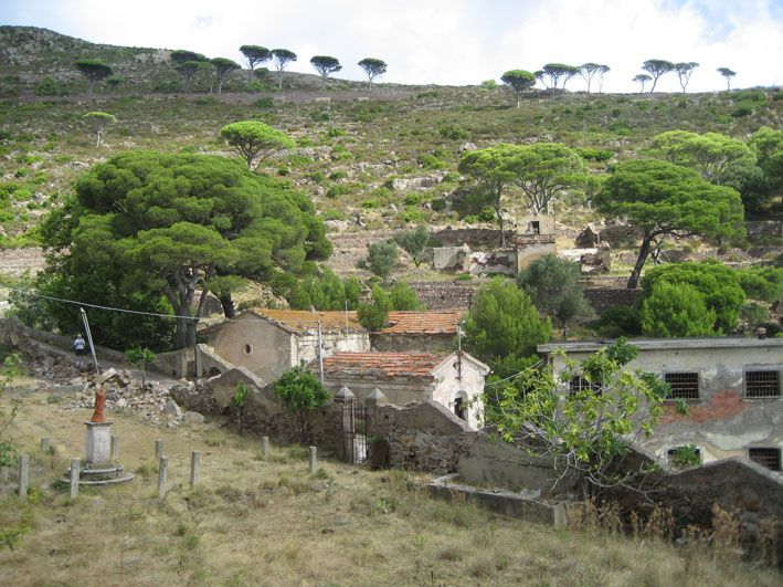 061_3D522_MARIANNA_MUSCARI